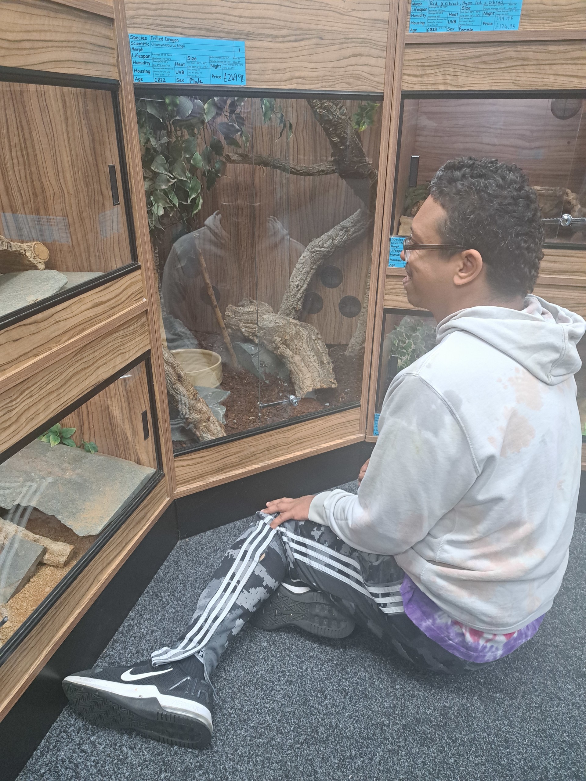 Mansfield aquatic and reptile centre best sale